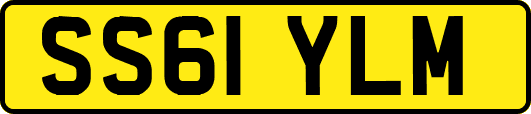 SS61YLM
