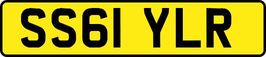 SS61YLR
