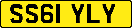 SS61YLY
