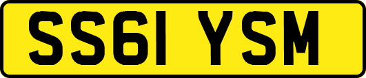 SS61YSM