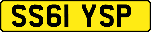 SS61YSP