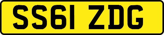 SS61ZDG