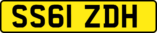 SS61ZDH