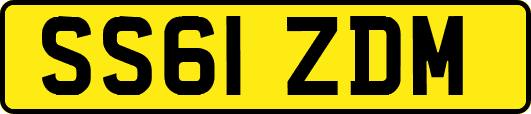 SS61ZDM