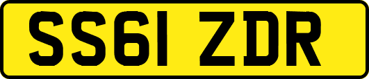 SS61ZDR