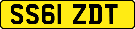 SS61ZDT