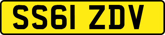 SS61ZDV