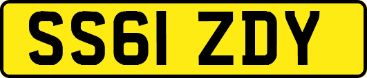 SS61ZDY