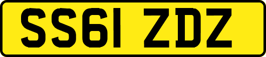SS61ZDZ