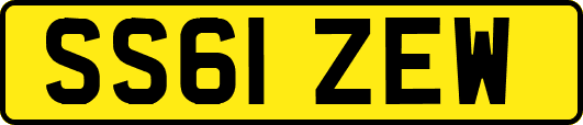 SS61ZEW