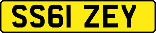 SS61ZEY