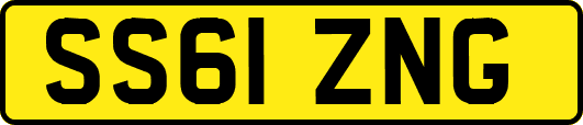 SS61ZNG