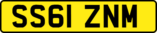 SS61ZNM