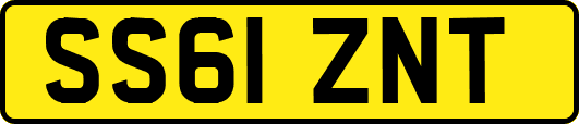 SS61ZNT