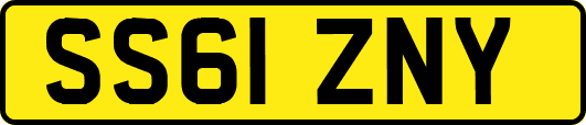 SS61ZNY