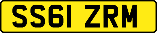 SS61ZRM