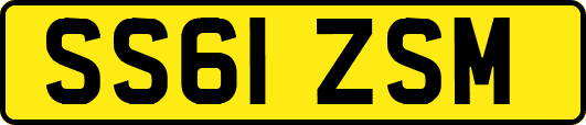 SS61ZSM