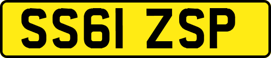 SS61ZSP