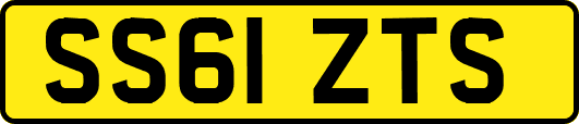 SS61ZTS