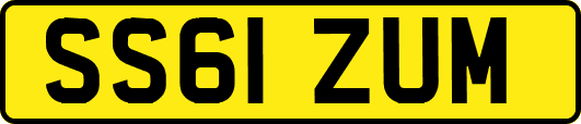 SS61ZUM