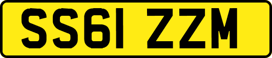 SS61ZZM