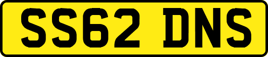 SS62DNS