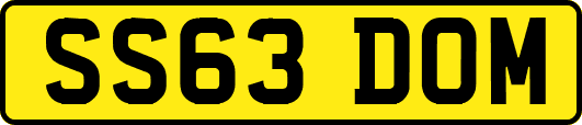 SS63DOM