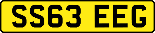 SS63EEG