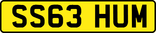 SS63HUM