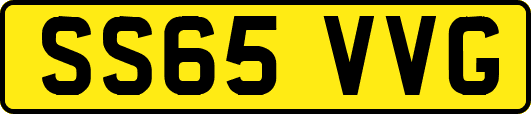 SS65VVG