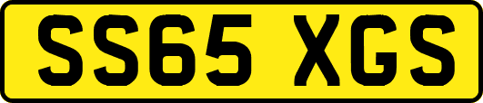 SS65XGS