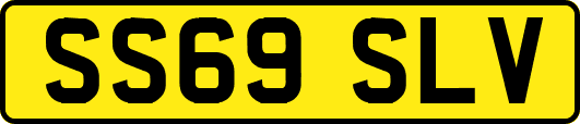 SS69SLV