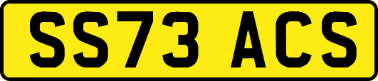 SS73ACS
