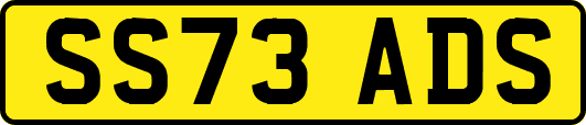 SS73ADS
