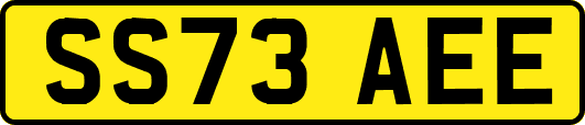 SS73AEE