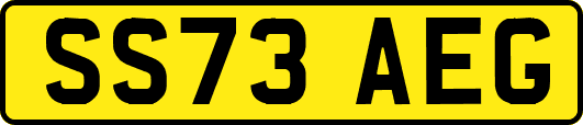 SS73AEG