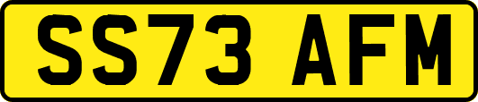 SS73AFM