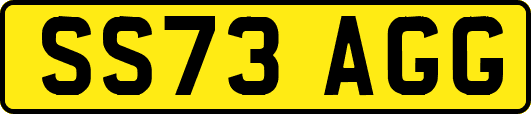SS73AGG