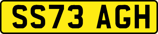 SS73AGH