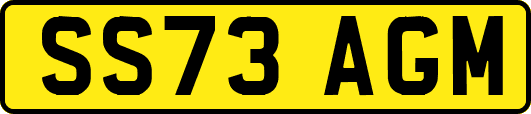 SS73AGM
