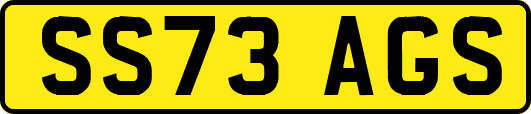 SS73AGS