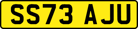 SS73AJU