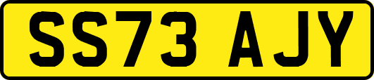 SS73AJY