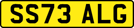 SS73ALG