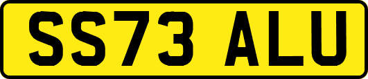 SS73ALU