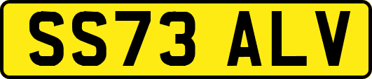 SS73ALV
