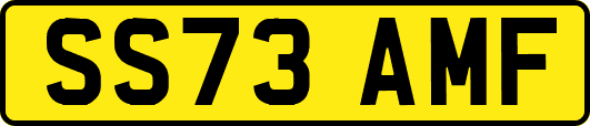 SS73AMF