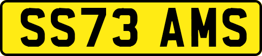 SS73AMS