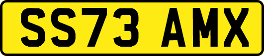 SS73AMX
