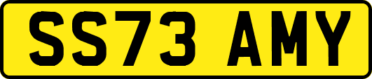 SS73AMY